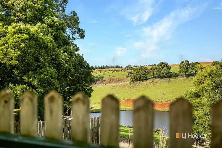 Seventh view of Homely house listing, 100 Devils Elbow Road, Sisters Creek TAS 7325