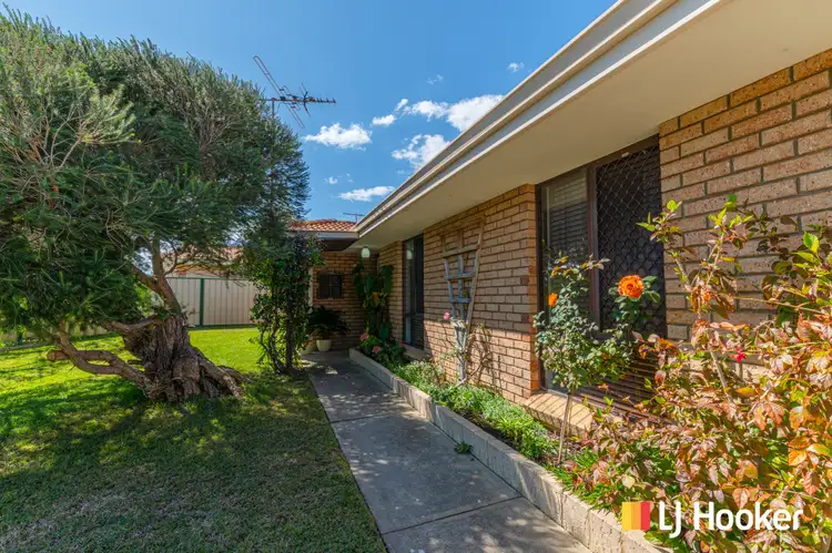 Second view of Homely house listing, 33 Forrest Grove, Two Rocks WA 6037