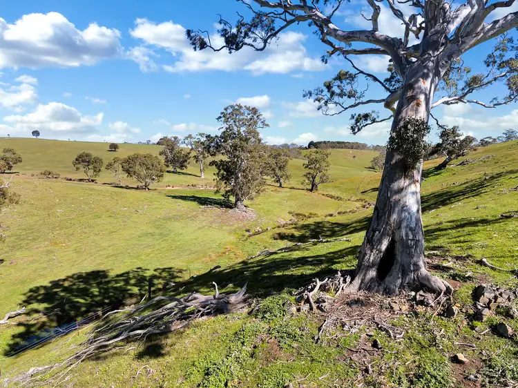 Seventh view of Homely land listing, Lot 1973 Jury Road, Brukunga SA 5252