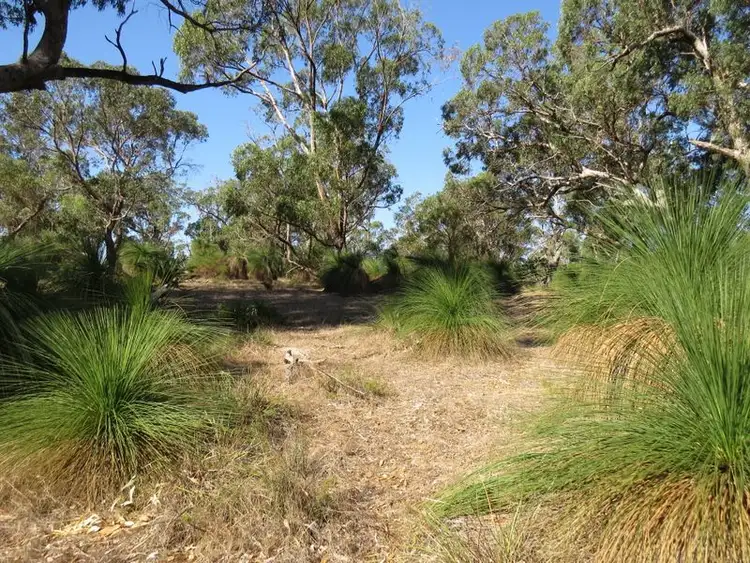 Seventh view of Homely land listing, 38 Timber Grove, Two Rocks WA 6037