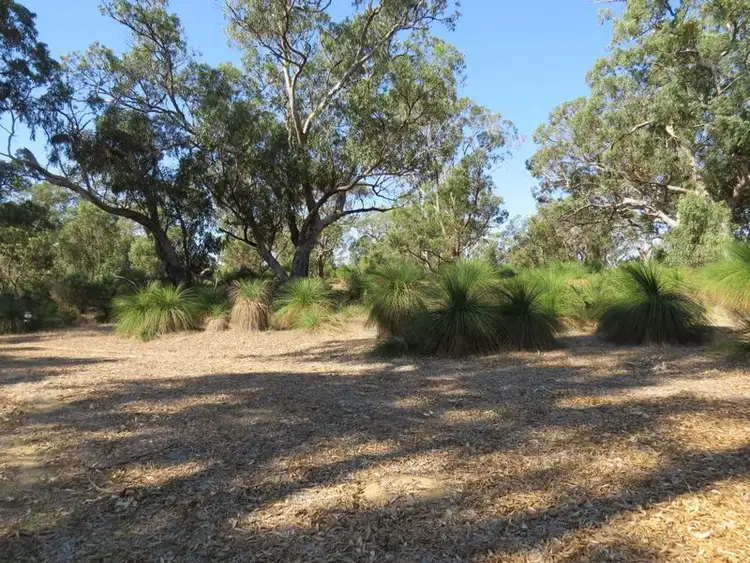 Third view of Homely land listing, 38 Timber Grove, Two Rocks WA 6037