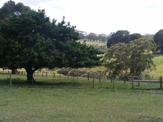 Second view of Homely rural property listing, 185 Shorts Road, Elliminyt VIC 3250