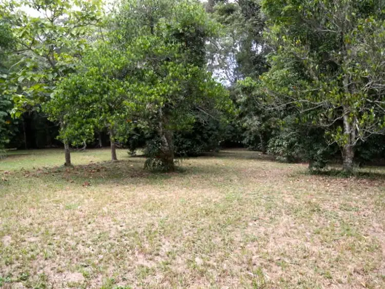 13 Jarawee Road, Kuranda QLD 4881