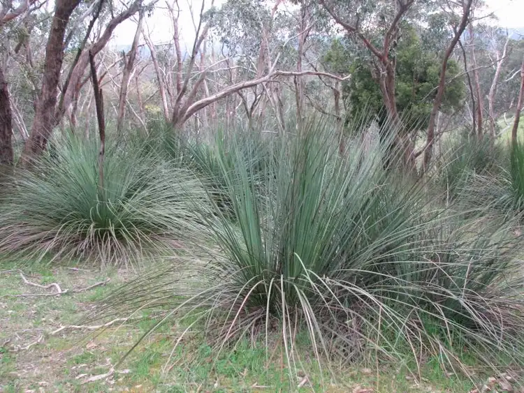 Third view of Homely land listing, Lot 2 Hack Range Road, Echunga SA 5153