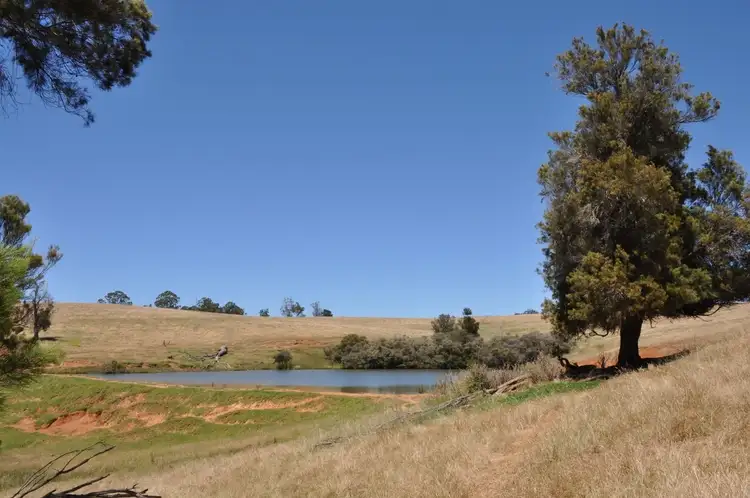 Main view of Homely rural property listing, Lot 26 Vasse Highway, Pemberton WA 6260