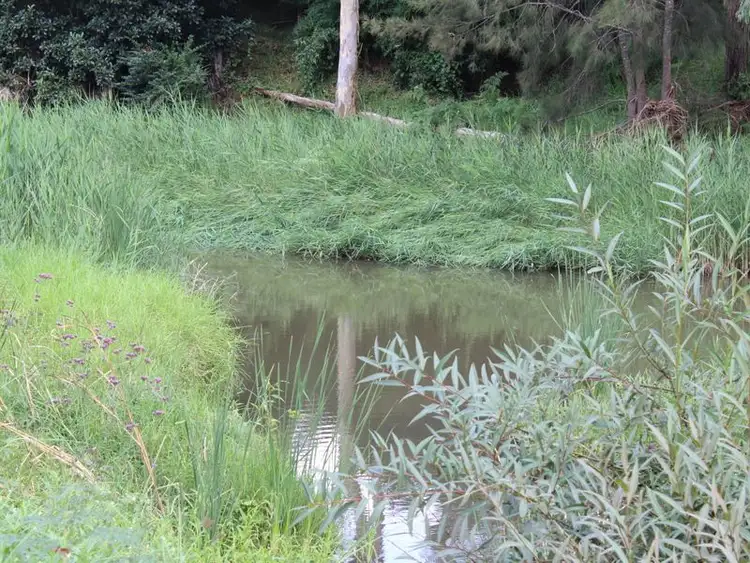 Seventh view of Homely land listing, Lot 1 DP 1 Charlotte Street, Cobargo NSW 2550