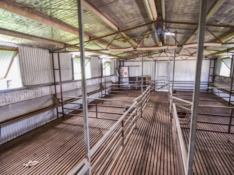 Seventh view of Homely rural property listing, 3243 Wargeila Road, Yass NSW 2582