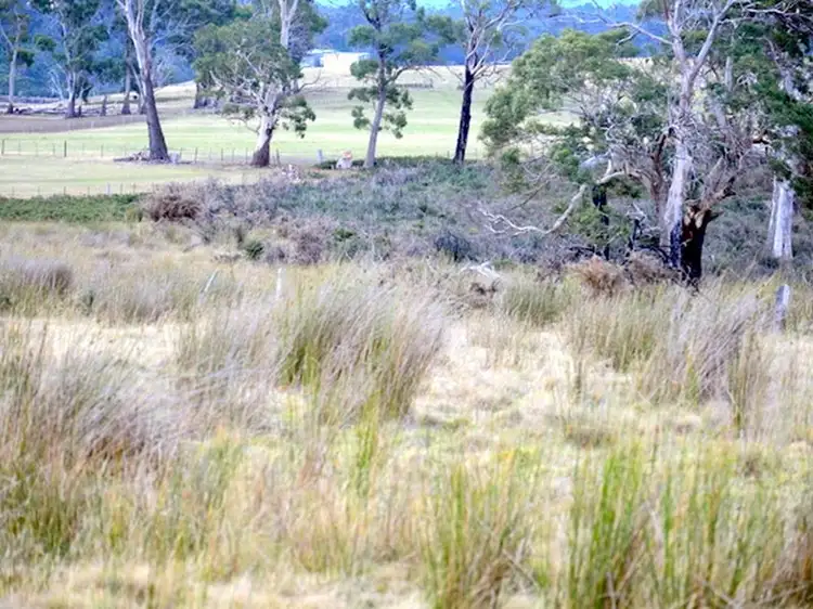 Fifth view of Homely land listing, 10220 Tasman Highway, Little Swanport TAS 7190