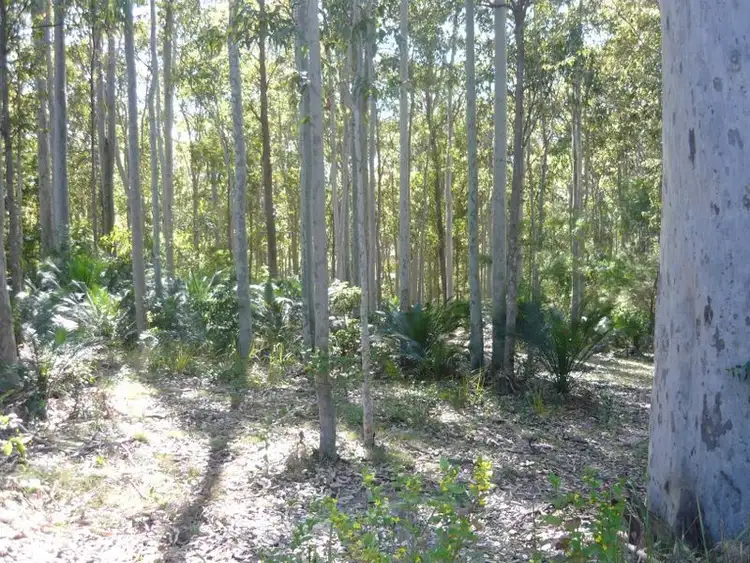 Fourth view of Homely land listing, 3488 Tathra Bermagui Road, Akolele NSW 2546