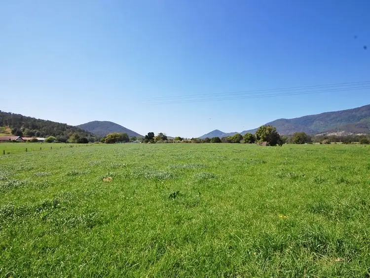 Main view of Homely rural property listing, 1553 Nowendoc Road MOUNT GEORGE via, Wingham NSW 2429