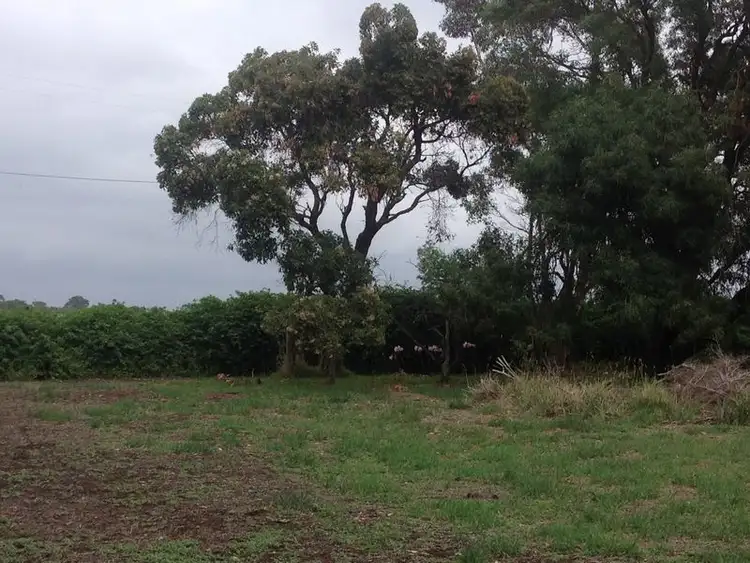 Second view of Homely house listing, 480 Wool Wool Road, Wool Wool VIC 3249