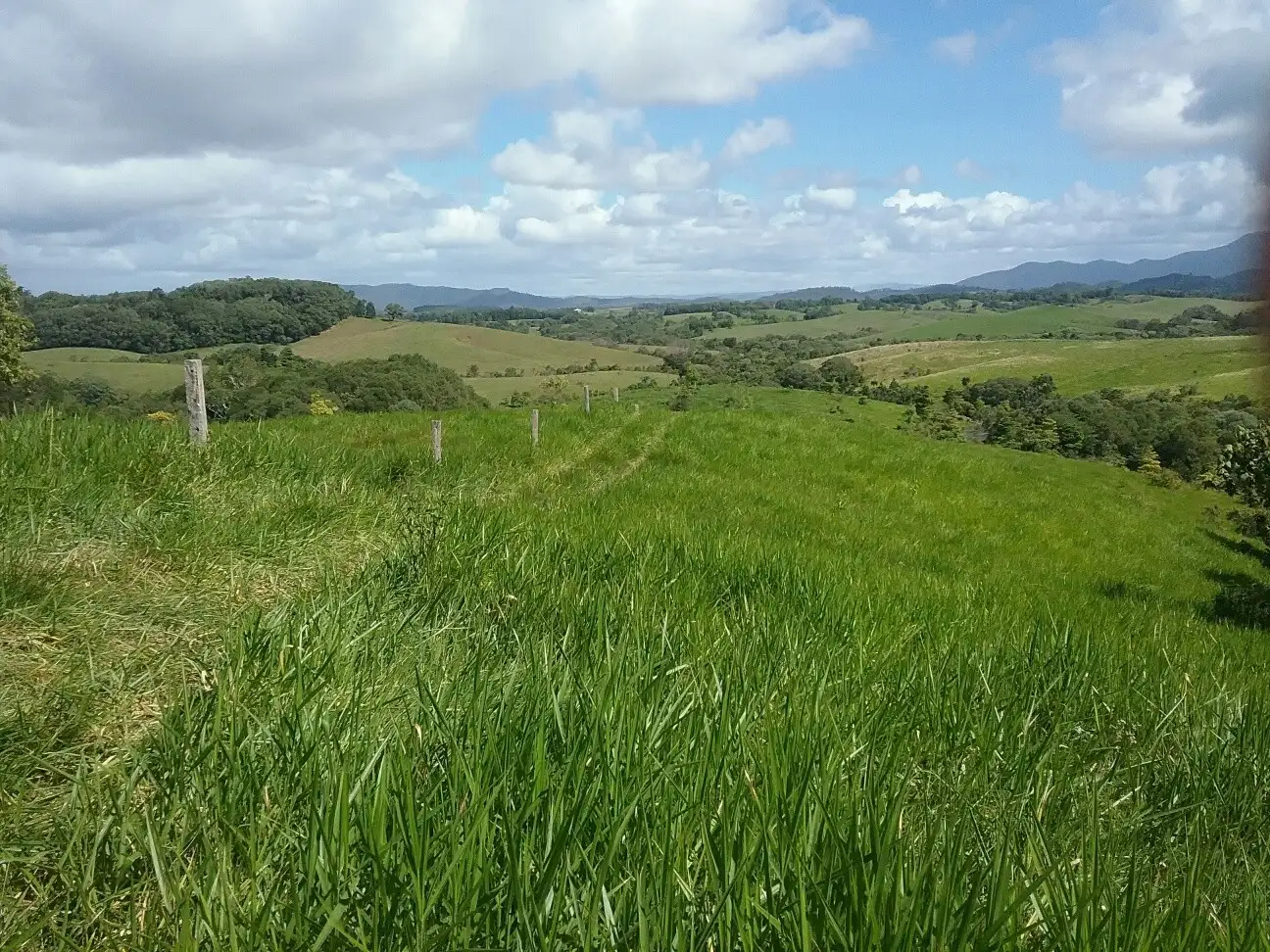 Main view of Homely land listing, Lot 3 Nine Mile Road, Julatten QLD 4871