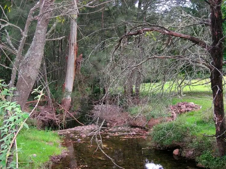 Seventh view of Homely rural property listing, Address available on request