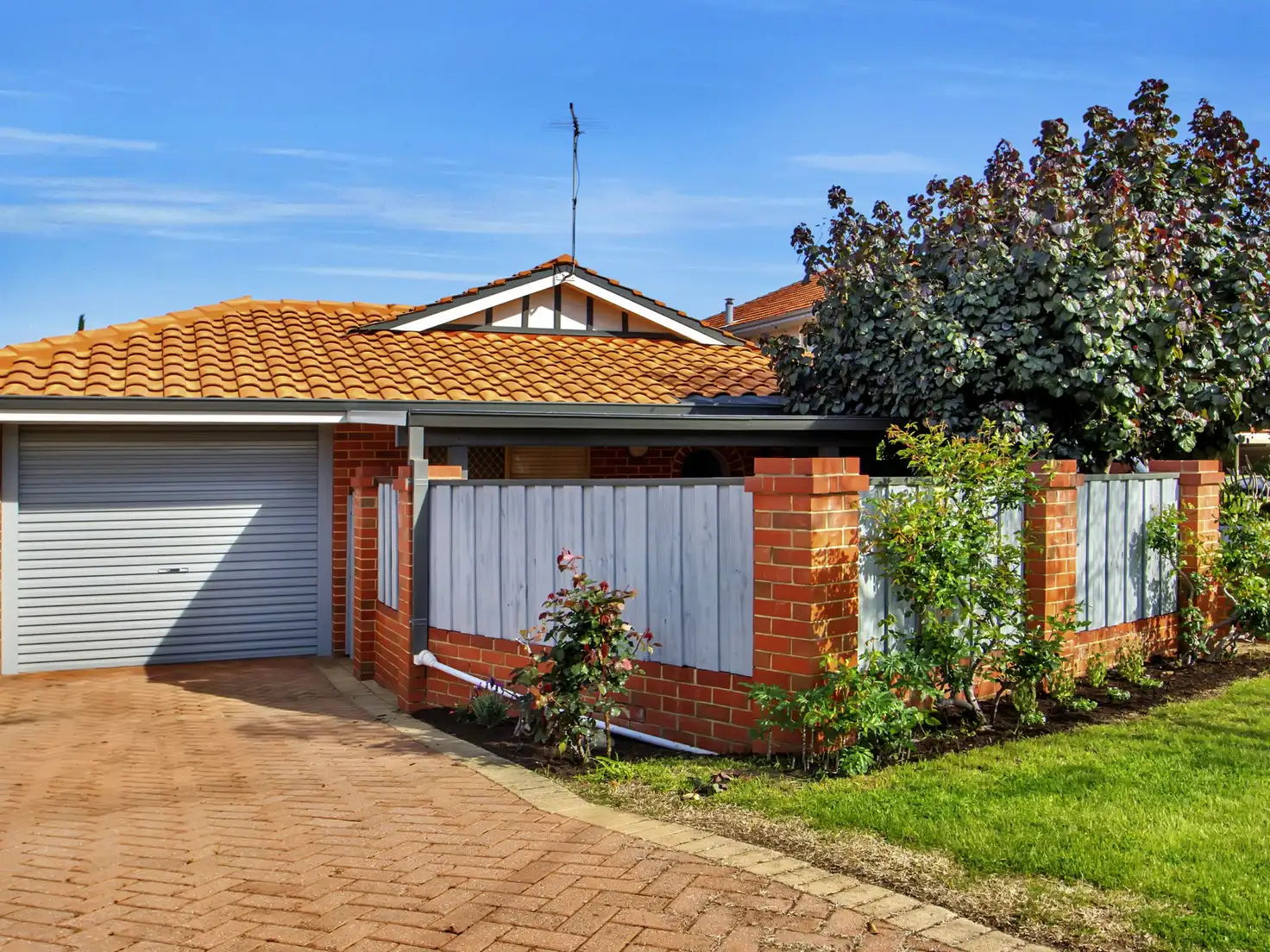 Main view of Homely villa listing, 1/5 Lena St, Tuart Hill WA 6060