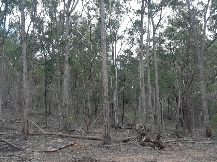 Second view of Homely rural property listing, Lot 12 Timberlight Road, Windellama NSW 2580