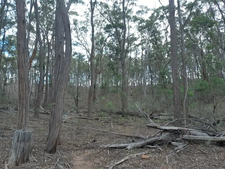 Third view of Homely rural property listing, Lot 12 Timberlight Road, Windellama NSW 2580
