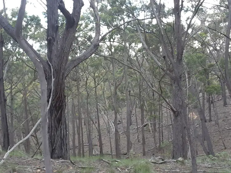 Fifth view of Homely rural property listing, Lot 12 Timberlight Road, Windellama NSW 2580