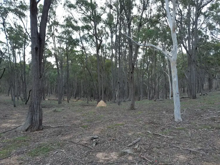 Sixth view of Homely rural property listing, Lot 12 Timberlight Road, Windellama NSW 2580