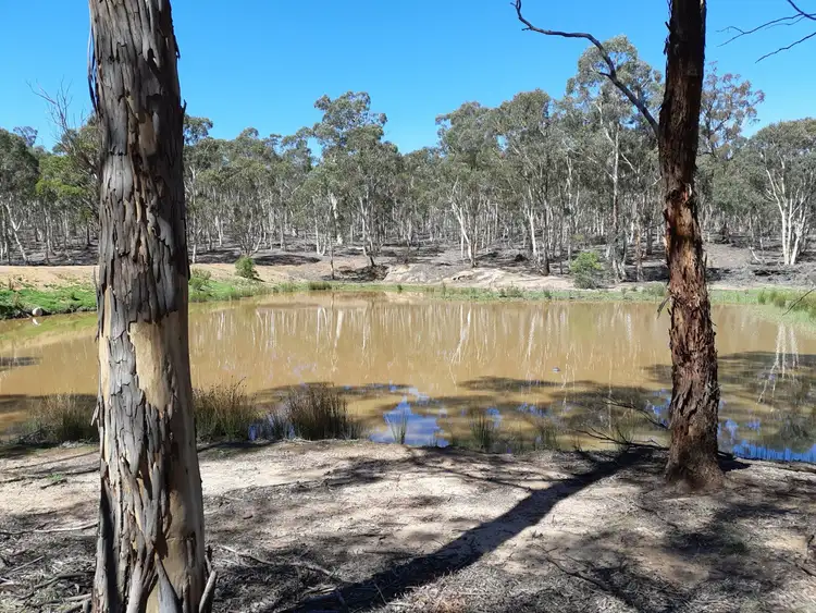 Fourth view of Homely rural property listing, Lot 11 Timberlight Road, Windellama NSW 2580