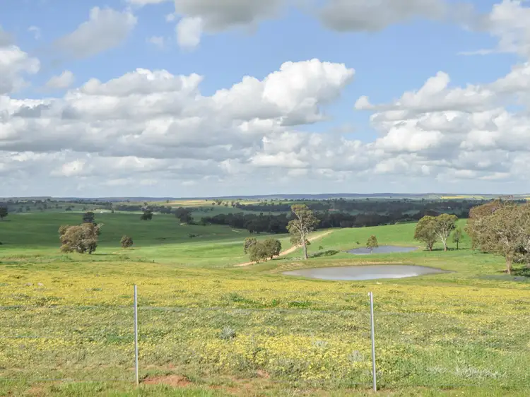 Main view of Homely land listing, 24 Bonnie Doon Road (Prunevale), Young NSW 2594