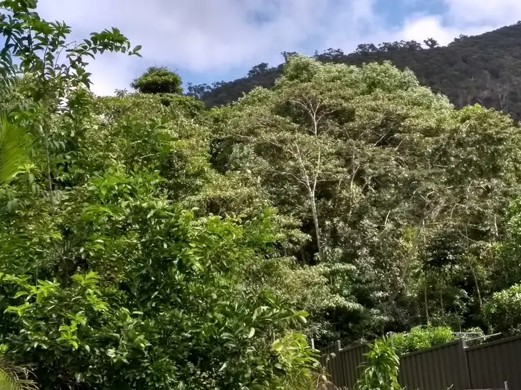 Fourth view of Homely house listing, 12 Geddes Street, Tully QLD 4854