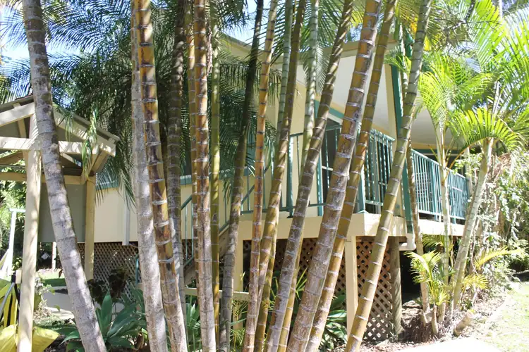 Seventh view of Homely house listing, 11/10-12 Tropic Lodge, Korora NSW 2450