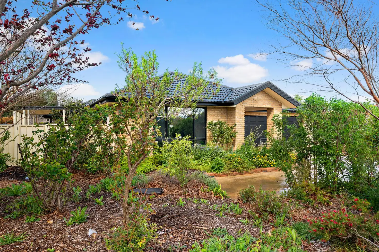 Main view of Homely house listing, 22 Douglas Waterhouse Drive, Dunlop ACT 2615