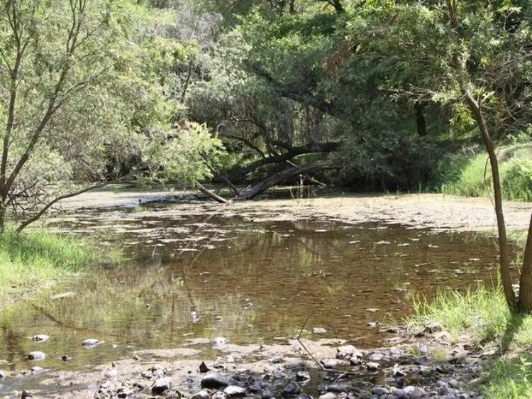 Third view of Homely rural property listing, 49 Francis Road, Biarra QLD 4313