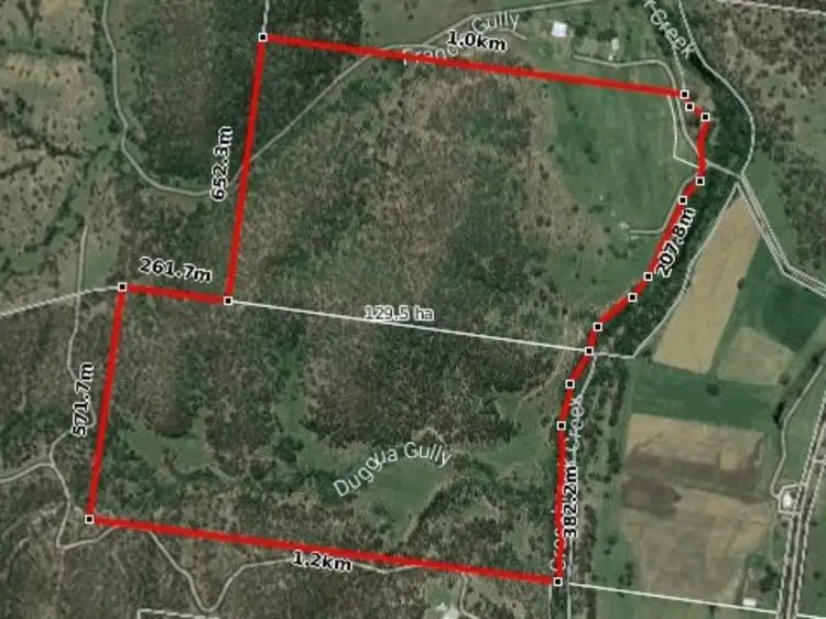 Seventh view of Homely rural property listing, 49 Francis Road, Biarra QLD 4313
