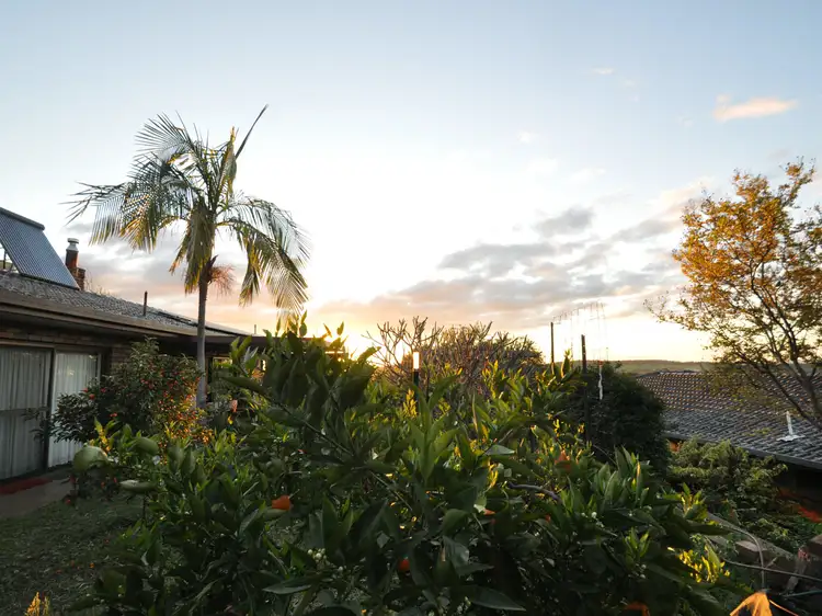 Third view of Homely house listing, 24 Goodwin Road, Gunnedah NSW 2380