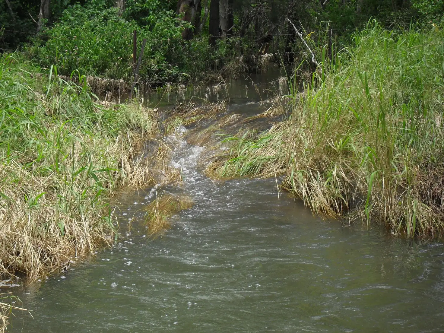 Main view of Homely land listing, 25 Poison Creek Road, Bouldercombe QLD 4702