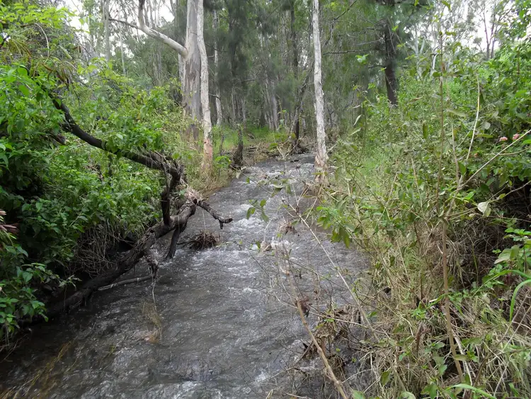Fifth view of Homely land listing, 25 Poison Creek Road, Bouldercombe QLD 4702