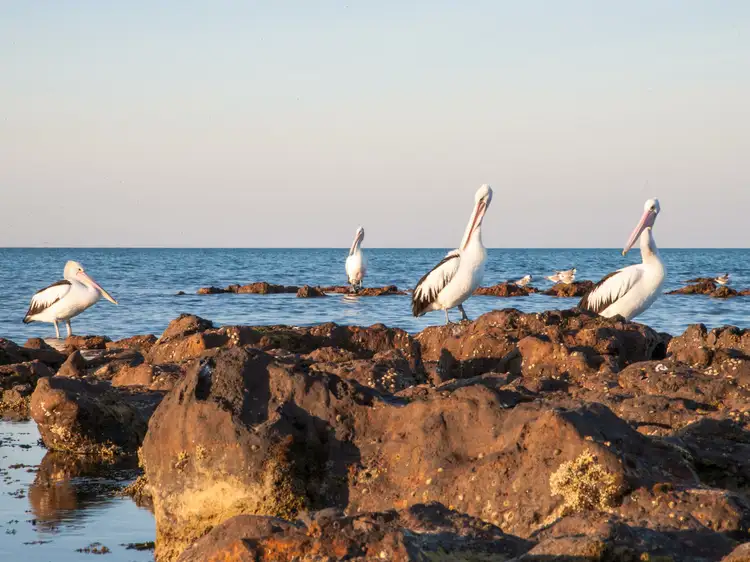 Fourth view of Homely land listing, 10 Half Moon Crescent, Indented Head VIC 3223
