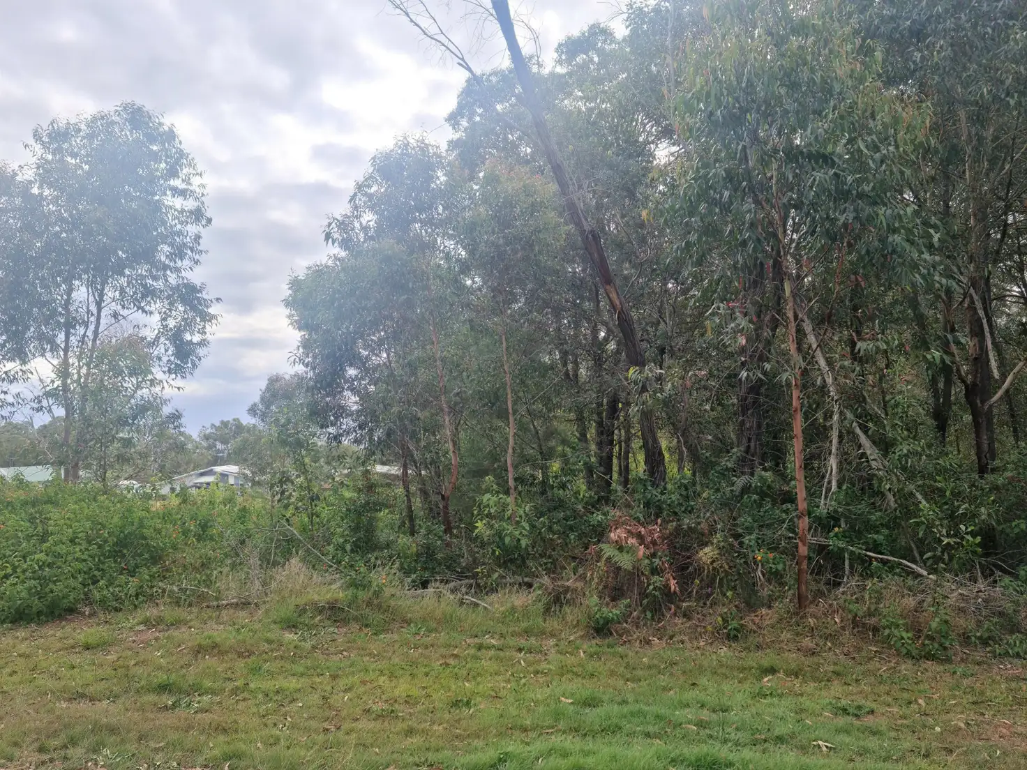 Main view of Homely land listing, 4 Petunia Street, Russell Island QLD 4184