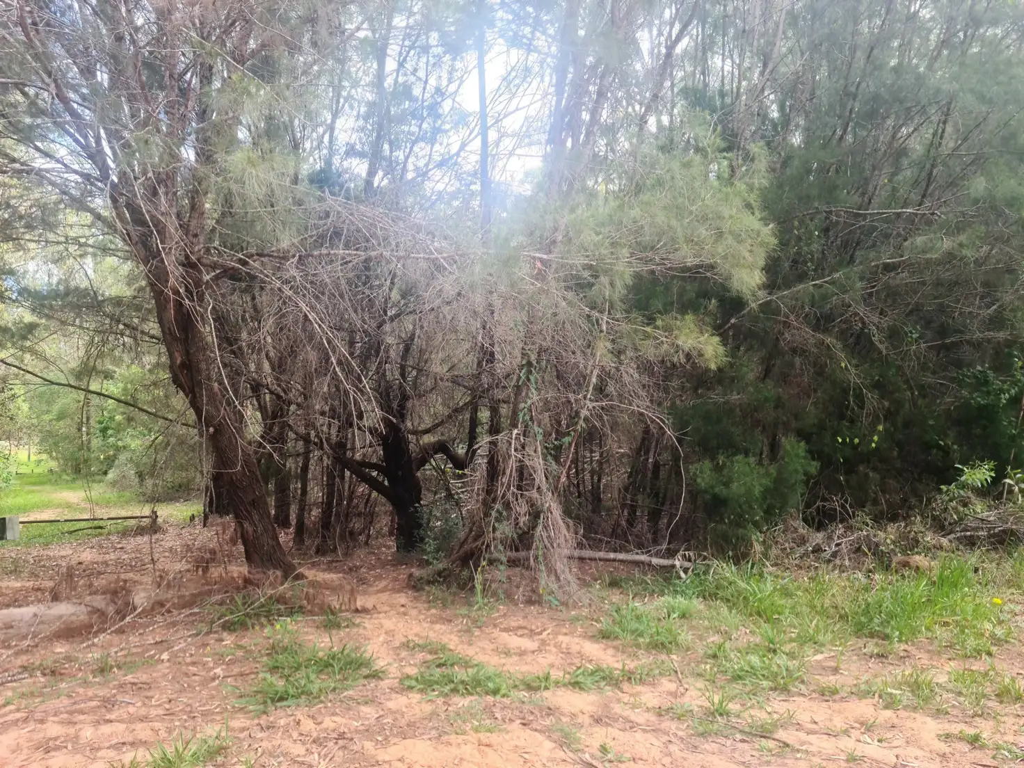 Main view of Homely land listing, 34 Catamaran Street, Russell Island QLD 4184