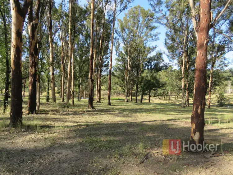 Main view of Homely rural property listing, 98 Mungay Flat Road, Willawarrin NSW 2440