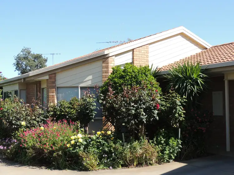 Second view of Homely unit listing, Unit 3/6 Milloo Street, Swan Hill VIC 3585