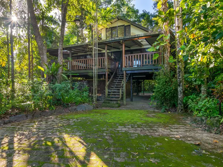 Main view of Homely house listing, 436 Cape Tribulation Road, Daintree QLD 4873