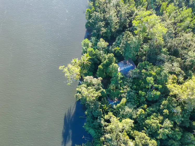 Third view of Homely house listing, 436 Cape Tribulation Road, Daintree QLD 4873