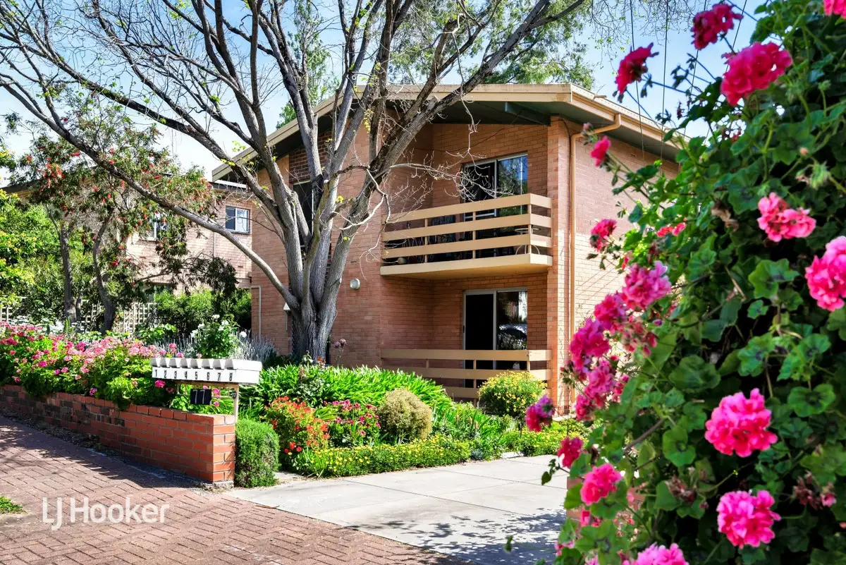 Main view of Homely unit listing, 1/77 Lockwood Road, Burnside SA 5066