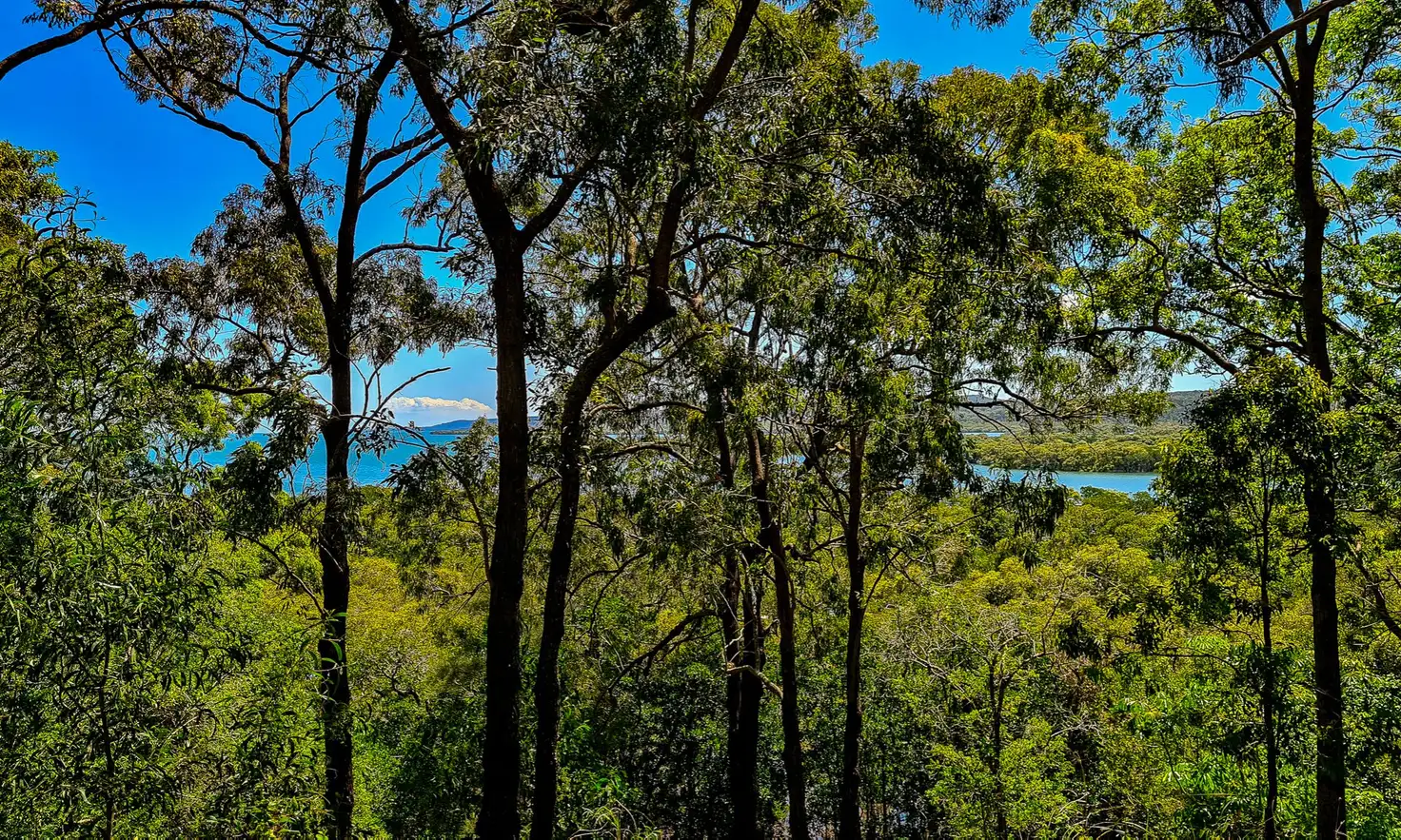 Main view of Homely land listing, 21-23 Patterson St, Russell Island QLD 4184