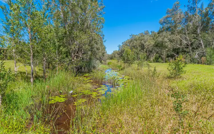 Seventh view of Homely rural property listing, Lot 2 Byrons Lane, Tyndale NSW 2460