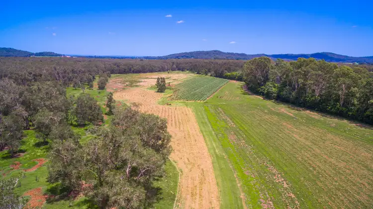 Fourth view of Homely rural property listing, Lot 1 Byrons Lane, Tyndale NSW 2460