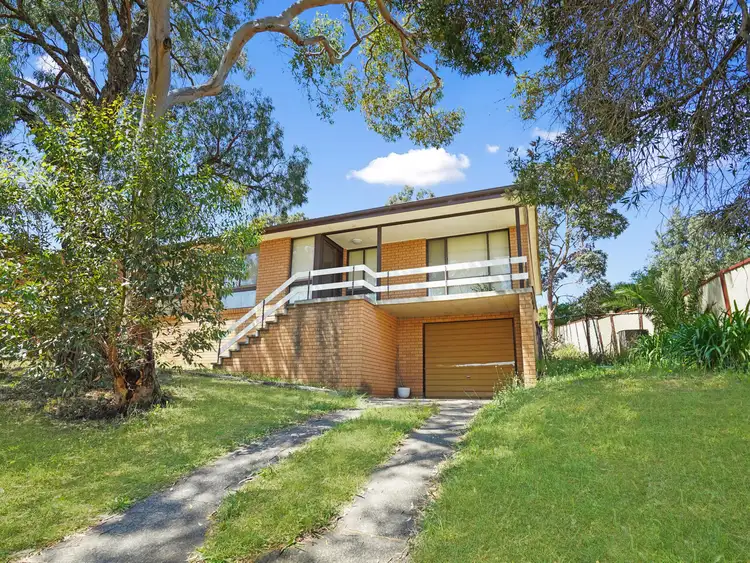 Main view of Homely house listing, 119 Longhurst Road, Minto NSW 2566