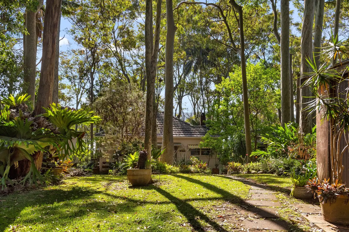 Main view of Homely house listing, 45 Riverview Road, Avalon Beach NSW 2107