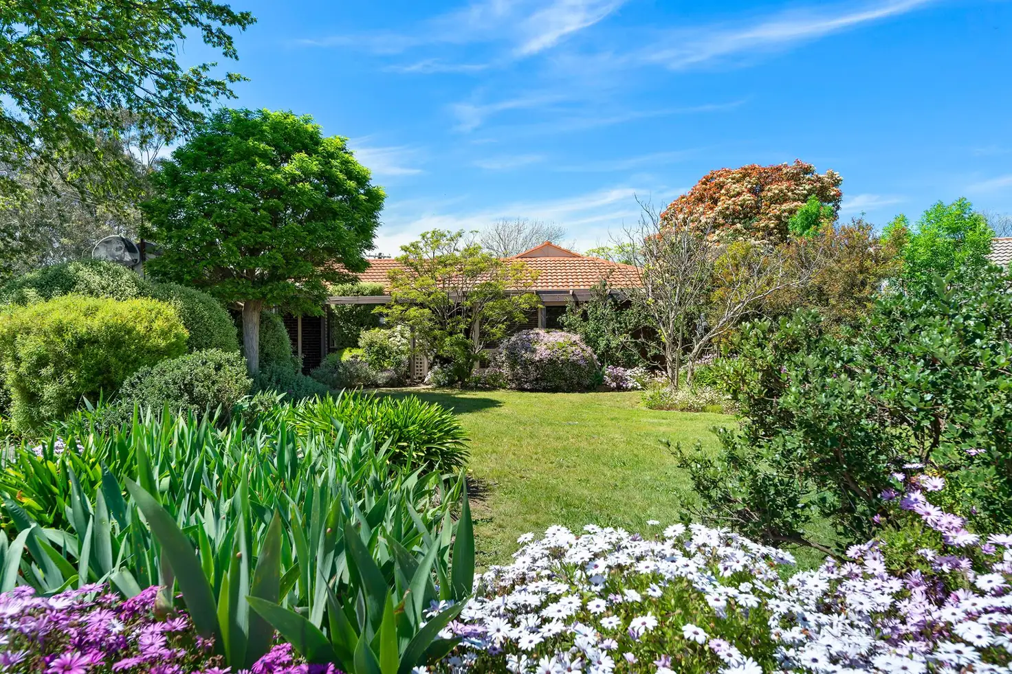 Main view of Homely house listing, 57 Croton Street, Rivett ACT 2611