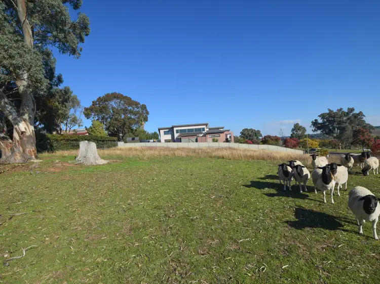 16 Bailes Crescent, Young NSW 2594