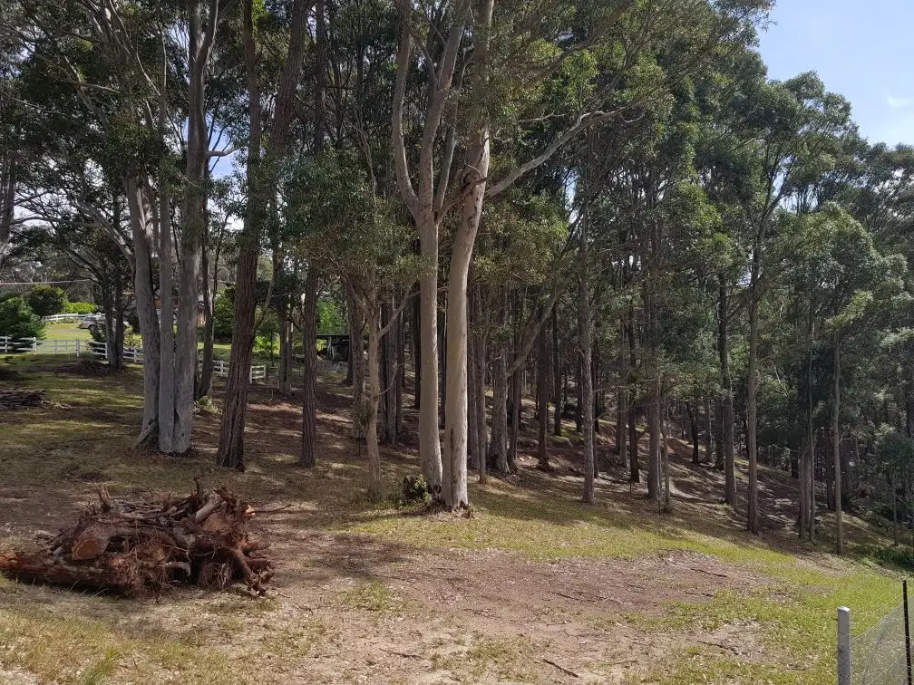 Main view of Homely land listing, Lot 2/11 Barlings Drive, Tomakin NSW 2537