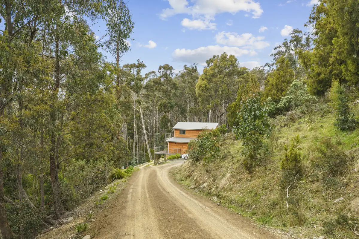 Main view of Homely house listing, 259 Lower Swamp Road, Lachlan TAS 7140