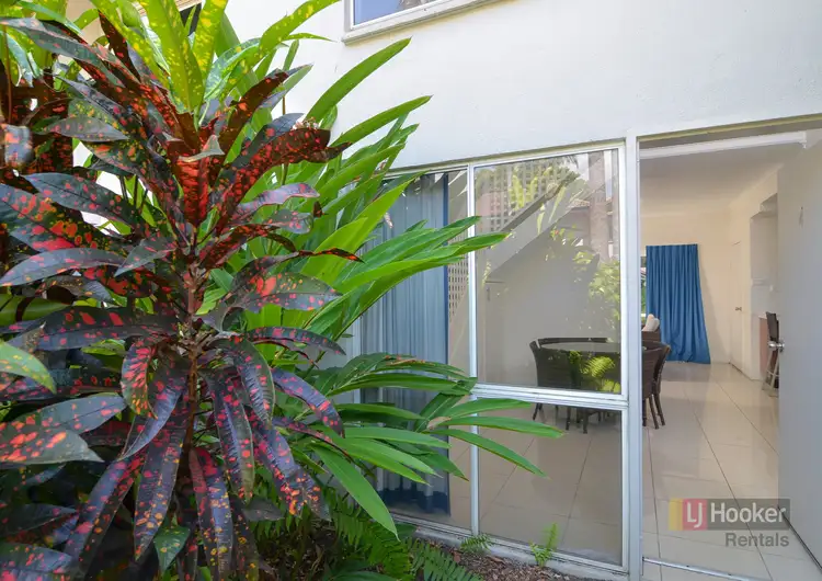 Main view of Homely villa listing, Villa 4/121-137 Port Douglas Road, Port Douglas QLD 4877